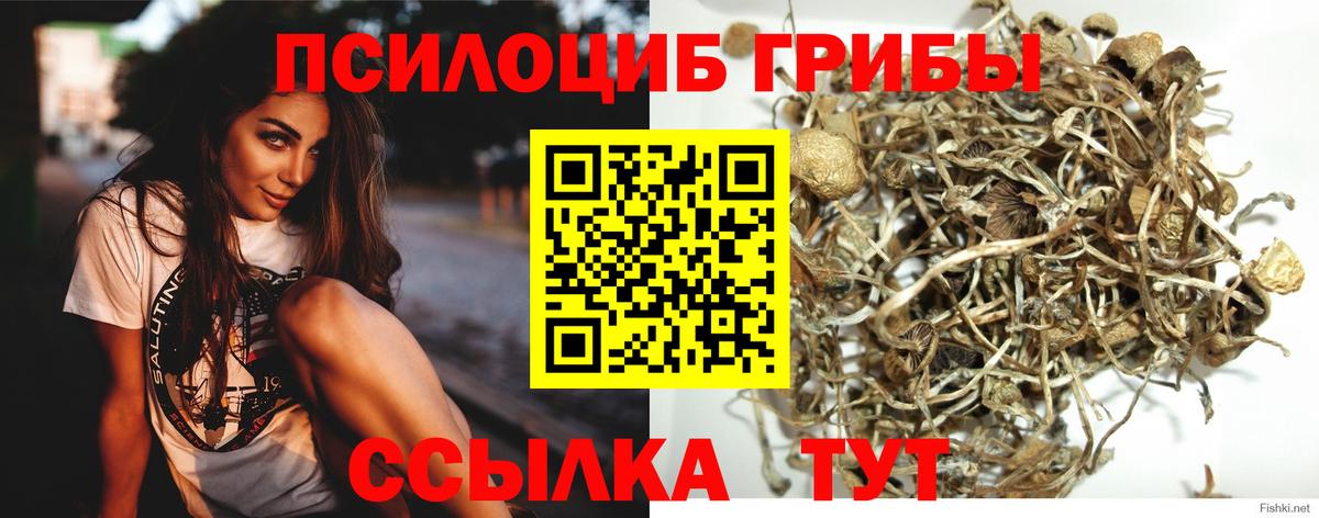 Галлюциногенные грибы прущие грибы  Псилоцибиновые грибы Psilocybe  Вологда  Вход с VPN 